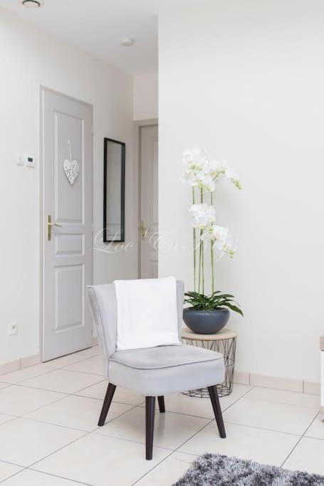 Ravissante Maison Cosy 4* Biscarrosse Proche Lac Zewnętrze zdjęcie